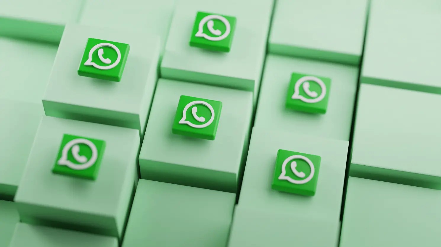 Anexet Client Console showing intercepted WhatsApp conversations