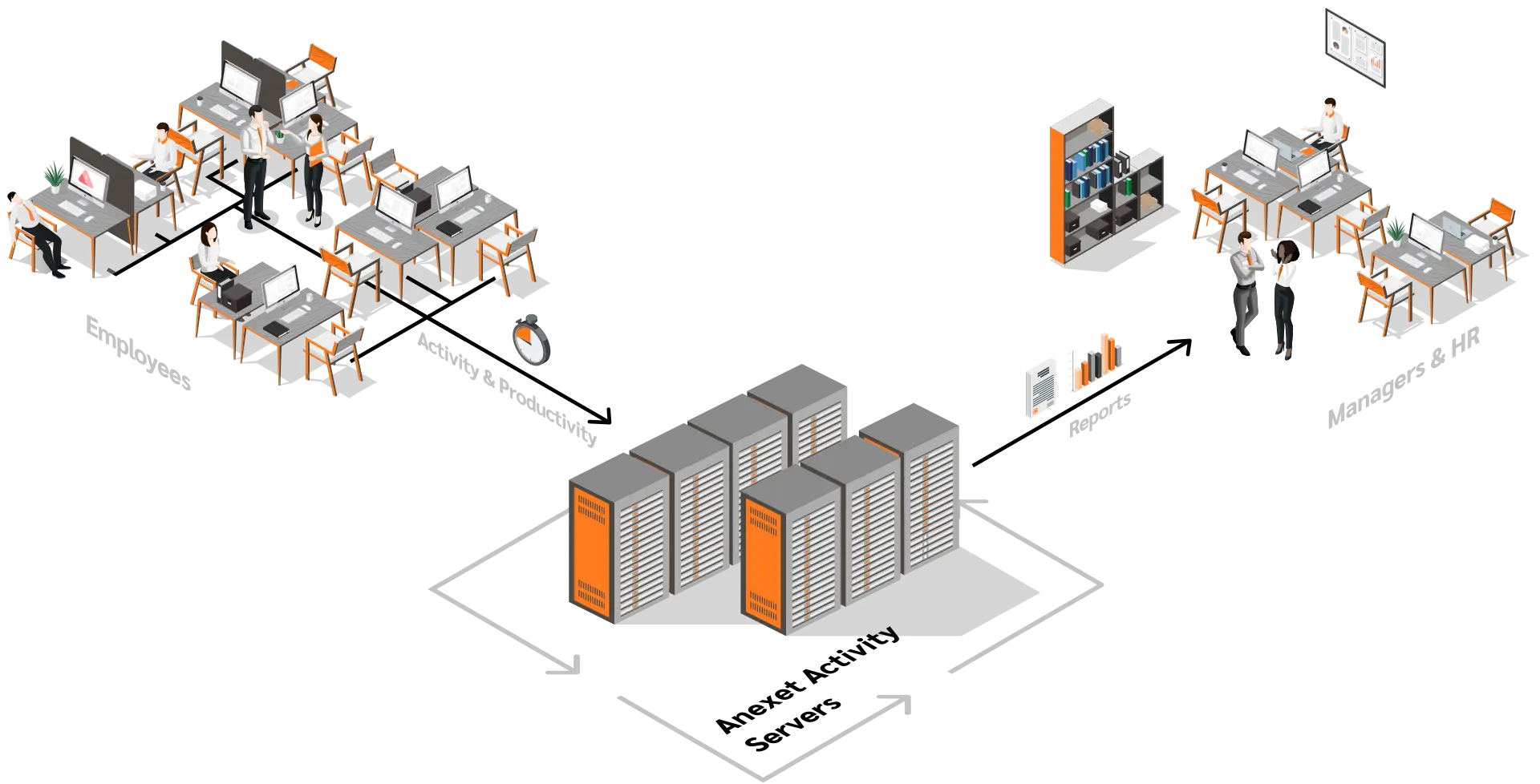 Anexet Activity working scheme
